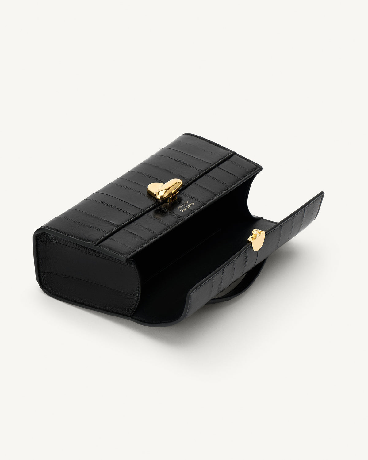 interior view of a black eel bag with a gold clasp on a white background